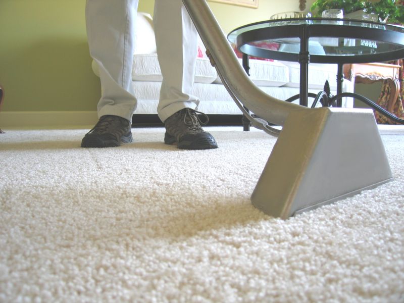 Professional Carpet Cleaning